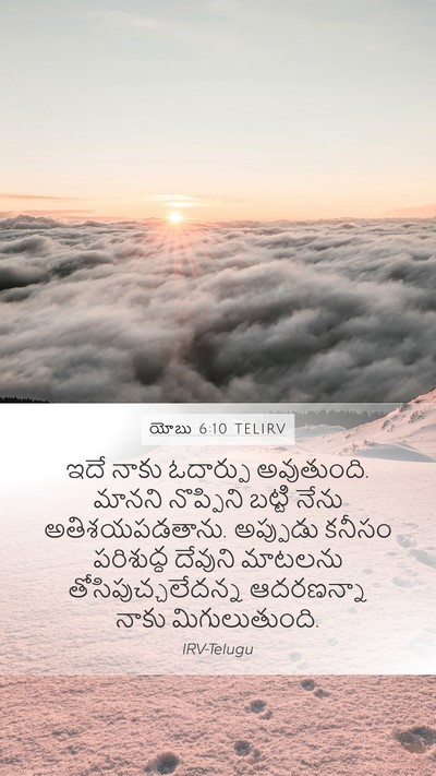 యోబు 6:10 TELIRV Bible Verse Image