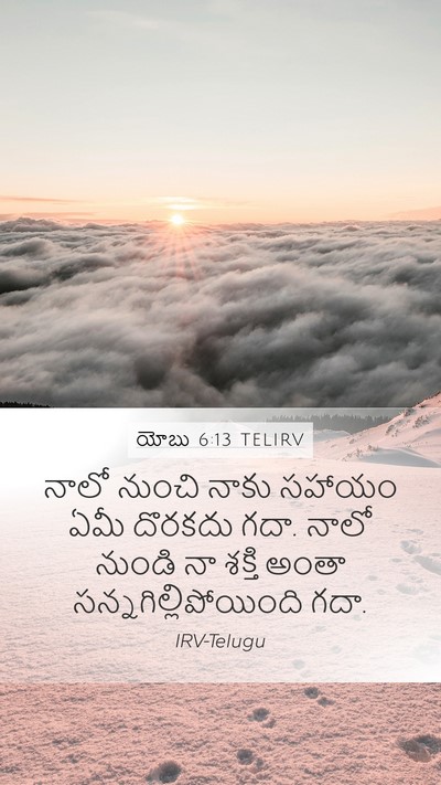యోబు 6:13 TELIRV Bible Verse Image