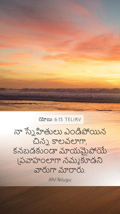 యోబు 6:15 TELIRV Bible Verse Image