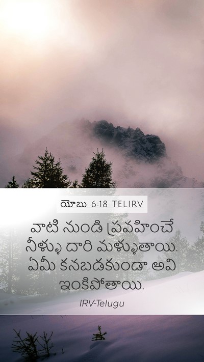 యోబు 6:18 TELIRV Bible Verse Image