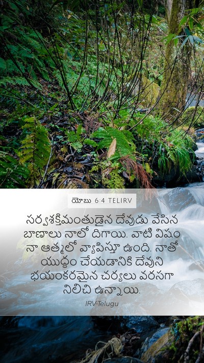 యోబు 6:4 TELIRV Bible Verse Image