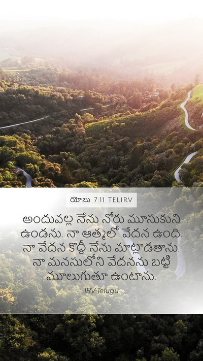 యోబు 7:11 TELIRV Bible Verse Image