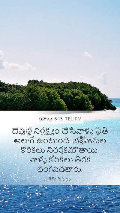 యోబు 8:13 TELIRV Bible Verse Image