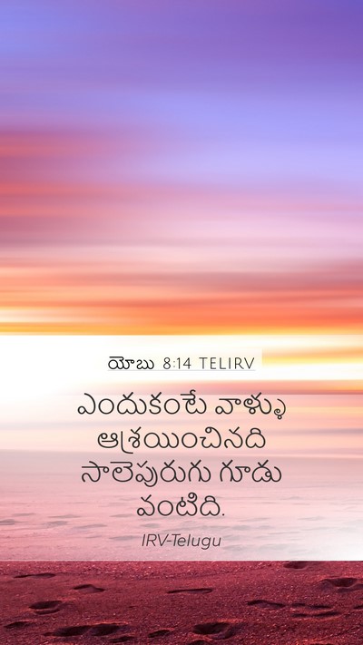 యోబు 8:14 TELIRV Bible Verse Image