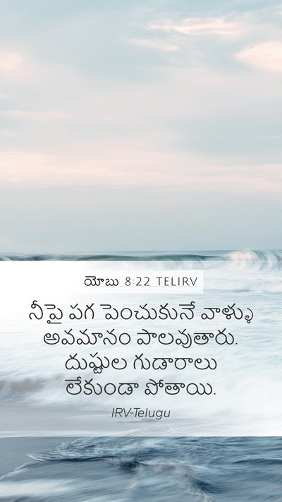 యోబు 8:22 TELIRV Bible Verse Image