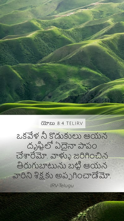 యోబు 8:4 TELIRV Bible Verse Image