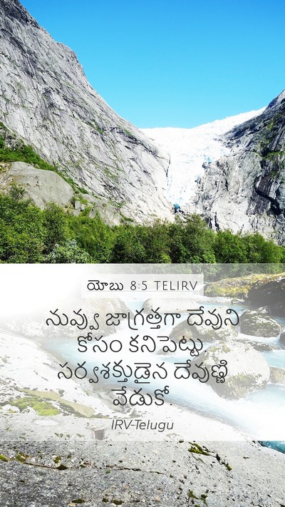 యోబు 8:5 TELIRV Bible Verse Image