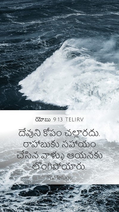 యోబు 9:13 TELIRV Bible Verse Image
