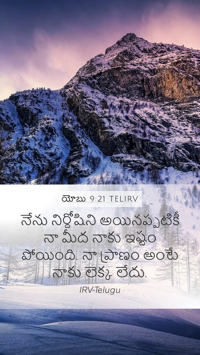 యోబు 9:21 TELIRV Bible Verse Image