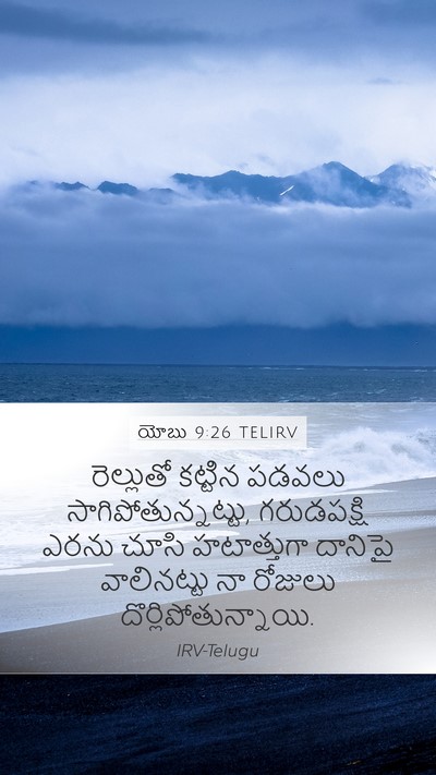 యోబు 9:26 TELIRV Bible Verse Image
