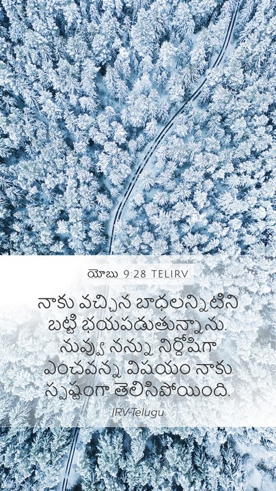 యోబు 9:28 TELIRV Bible Verse Image