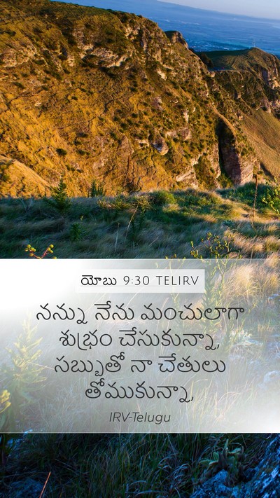 యోబు 9:30 TELIRV Bible Verse Image