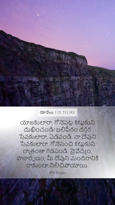 యోవేలు 1:13 TELIRV Bible Verse Image
