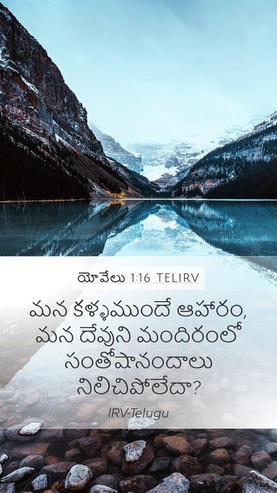 యోవేలు 1:16 TELIRV Bible Verse Image