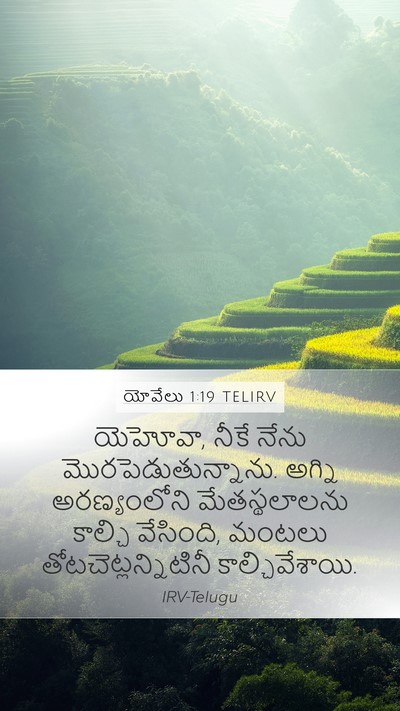 యోవేలు 1:19 TELIRV Bible Verse Image