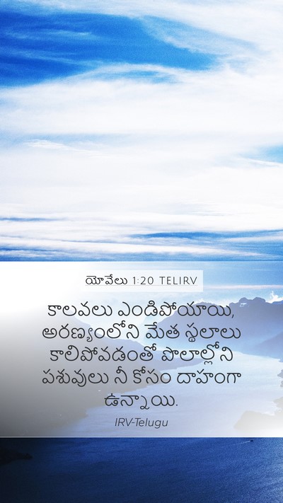 యోవేలు 1:20 TELIRV Bible Verse Image