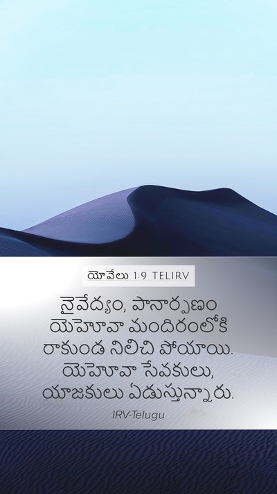 యోవేలు 1:9 TELIRV Bible Verse Image
