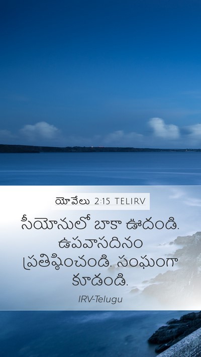 యోవేలు 2:15 TELIRV Bible Verse Image