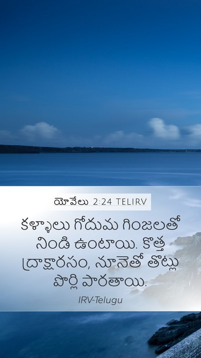 యోవేలు 2:24 TELIRV Bible Verse Image