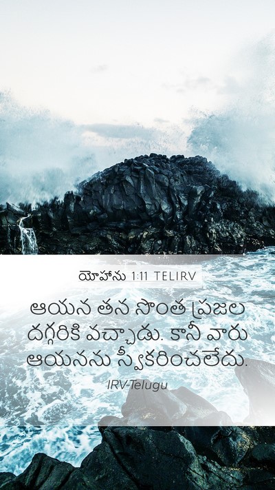 యోహాను 1:11 TELIRV Bible Verse Image