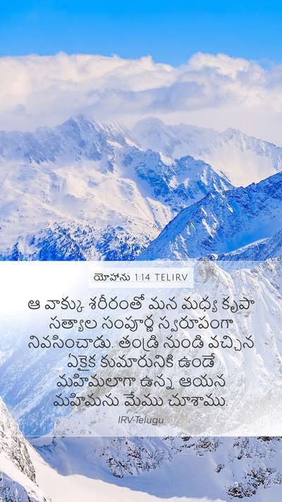 యోహాను 1:14 TELIRV Bible Verse Image
