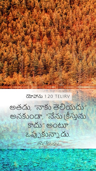 యోహాను 1:20 TELIRV Mobile Phone Wallpaper - అతడు, “నాకు - Mobile Bible Verse Wallpaper
