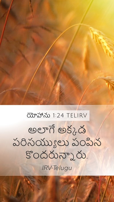 యోహాను 1:24 TELIRV Mobile Phone Wallpaper - అలాగే అక్కడ - Mobile Bible Verse Wallpaper