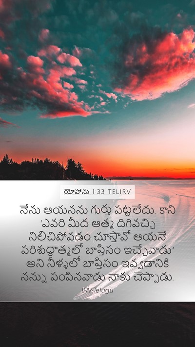 యోహాను 1:33 TELIRV Bible Verse Image