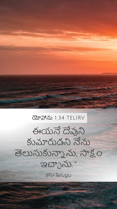 యోహాను 1:34 TELIRV Bible Verse Image