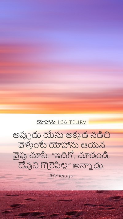 యోహాను 1:36 TELIRV Bible Verse Image