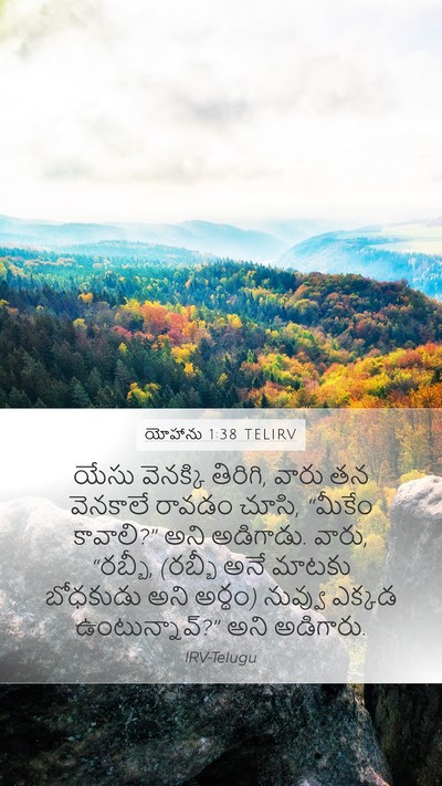 యోహాను 1:38 TELIRV Bible Verse Image