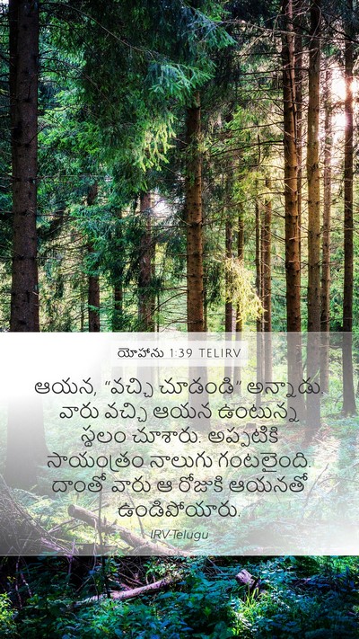 యోహాను 1:39 TELIRV Bible Verse Image