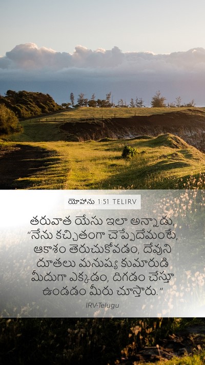 యోహాను 1:51 TELIRV Bible Verse Image