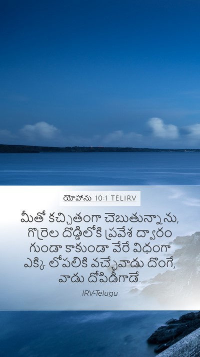 యోహాను 10:1 TELIRV Bible Verse Image