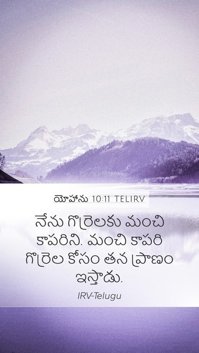 యోహాను 10:11 TELIRV Bible Verse Image