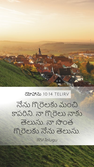 యోహాను 10:14 TELIRV Bible Verse Image