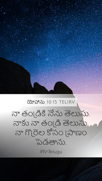 యోహాను 10:15 TELIRV Bible Verse Image