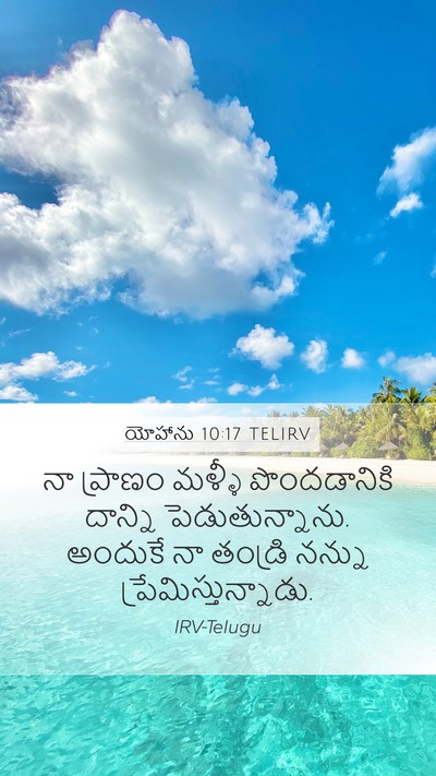 యోహాను 10:17 TELIRV Bible Verse Image
