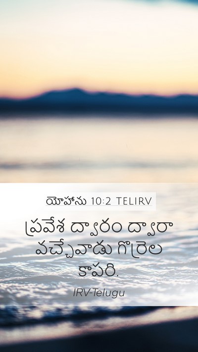 యోహాను 10:2 TELIRV Mobile Phone Wallpaper - ప్రవేశ ద్వారం - Mobile Bible Verse Wallpaper
