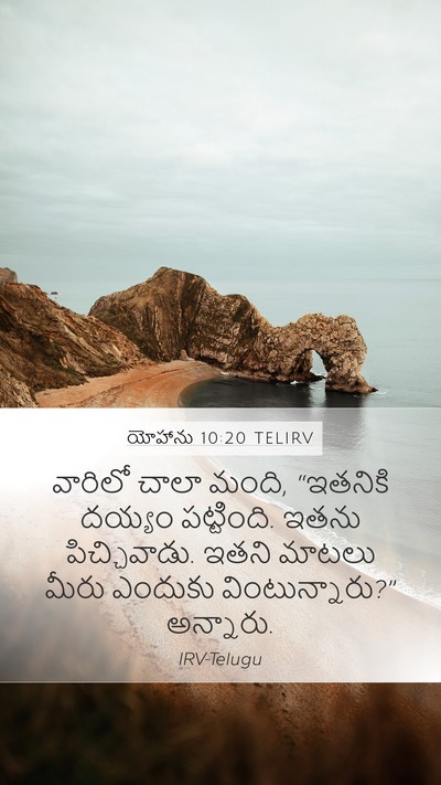 యోహాను 10:20 TELIRV Bible Verse Image