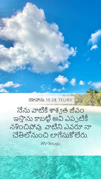 యోహాను 10:28 TELIRV Bible Verse Image