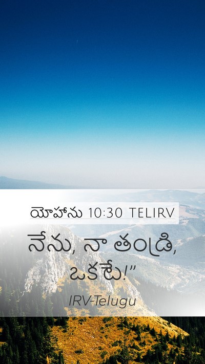 యోహాను 10:30 TELIRV Bible Verse Image