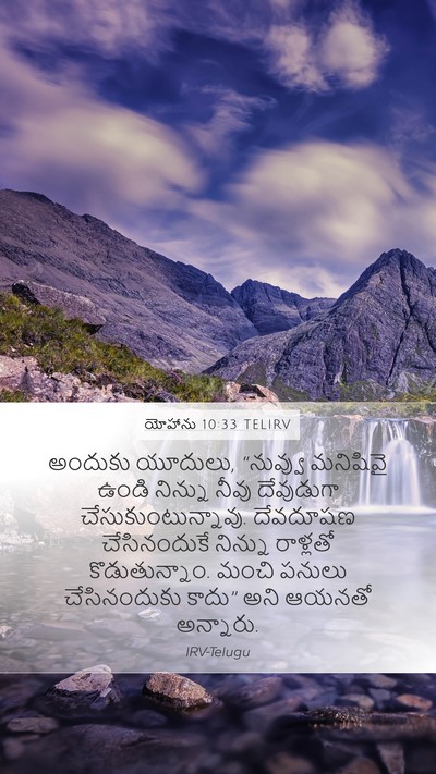 యోహాను 10:33 TELIRV Bible Verse Image