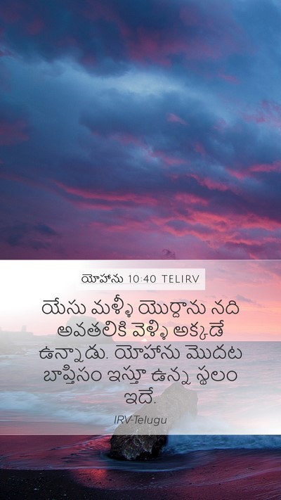 యోహాను 10:40 TELIRV Bible Verse Image