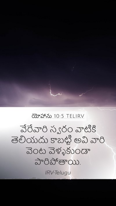 యోహాను 10:5 TELIRV Mobile Phone Wallpaper - వేరేవారి స్వరం - Mobile Bible Verse Wallpaper