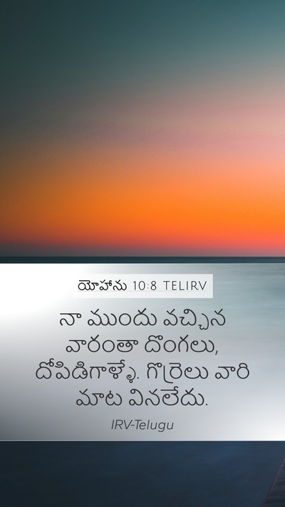 యోహాను 10:8 TELIRV Bible Verse Image