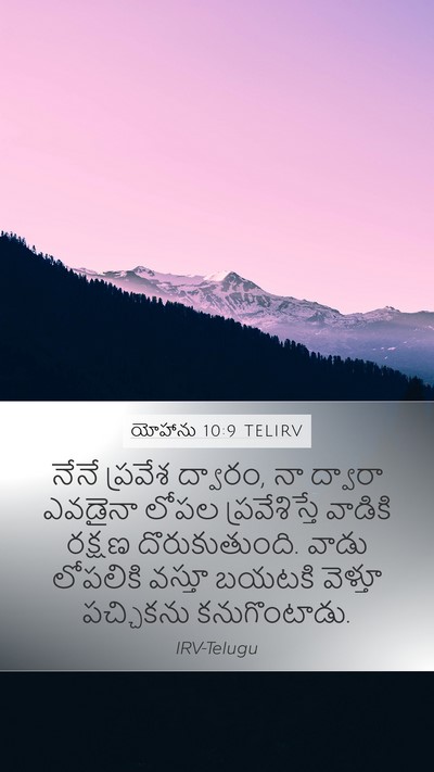 యోహాను 10:9 TELIRV Bible Verse Image