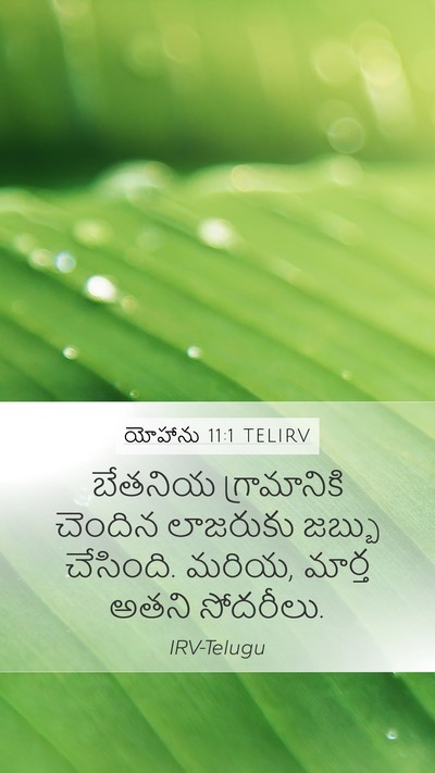 యోహాను 11:1 TELIRV Bible Verse Image