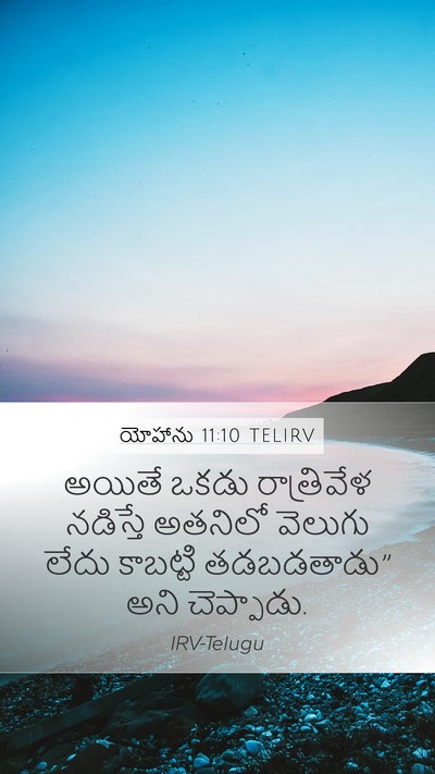 యోహాను 11:10 TELIRV Bible Verse Image