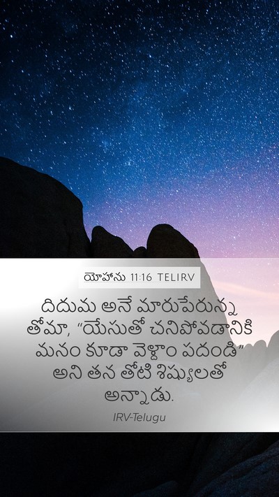 యోహాను 11:16 TELIRV Bible Verse Image